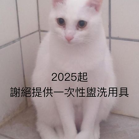 貓居 Ocean House Apartment Dahan ภายนอก รูปภาพ