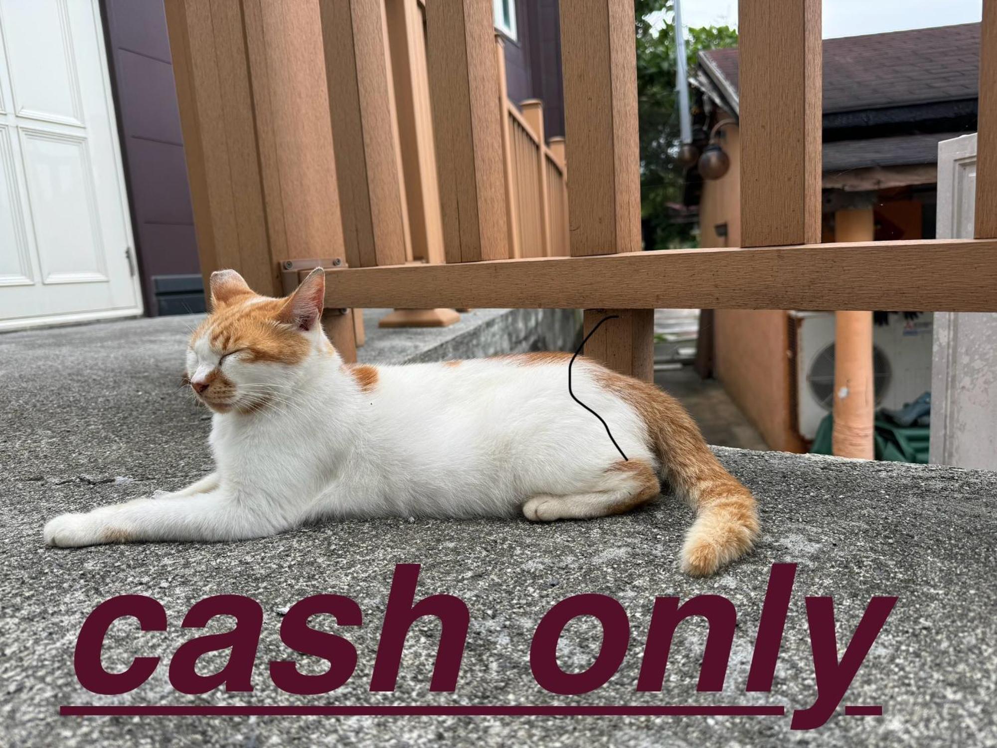 貓居 Ocean House Apartment Dahan ภายนอก รูปภาพ